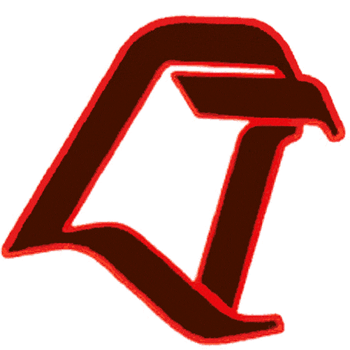 Bowling Green Falcons 1980-2005 Secondary Logo Iron On Transfer